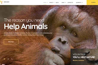 build squarespace website veterinary clinic pet care animal hospital website