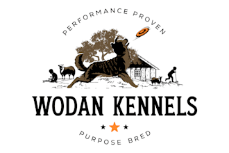 design a unique and professional dog logo for your pet business