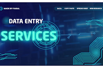 do professional data entry copy paste and excel work