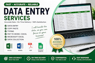do accurate data entry, excel, copy paste and web research