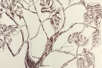 draw hand drawn line art and botanical pen sketches for merchandise
