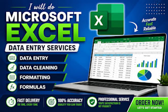do microsoft excel data entry data cleaning and formatting
