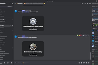 setup, configure and manage your professional discord server