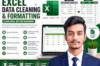 clean, format and organize your excel data professionally