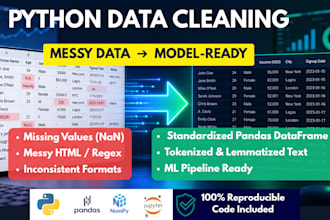 clean preprocess and format data for machine learning in python