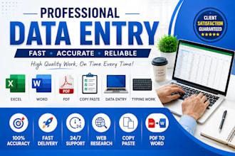 accurate data entry excel data entry