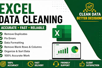 do professional data cleaning, excel formatting, and deduplication
