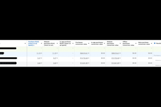 set up and optimize google, meta, and bing ads for maximum ROI