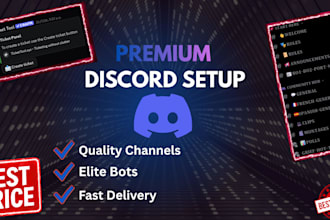 design and set up a professional discord server