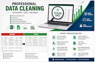 professional data entry, excel, and PDF conversion