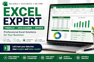 create excel formulas, reports and spreadsheets