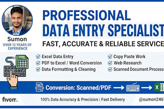 do professional data entry, excel data entry, and PDF to excel conversion