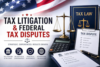 handle your tax litigation and federal tax dispute