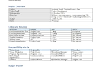 create a project plan, timeline, budget and action tracker