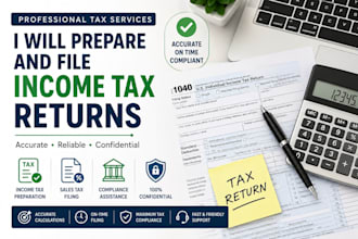 prepare and file tax returns professionally