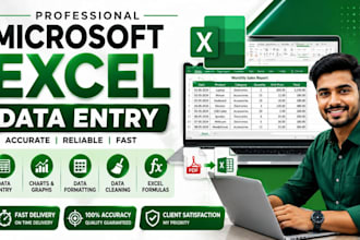 microsoft excel data entry, formatting, charts and spreadsheets,