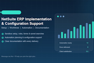 support your netsuite erp implementation and configuration