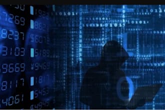 online background investigation, social blackmail, cyber threat, fraud analyst