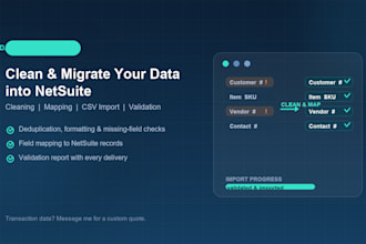 clean and migrate your data into netsuite