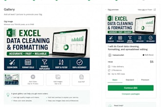 do excel data cleaning, formatting, and spread editing