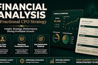 provide corporate financial analysis and strategic executive advisory