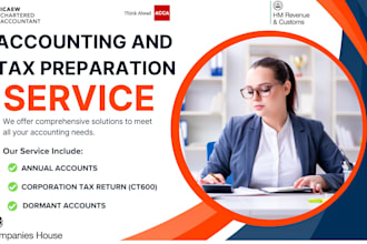 prepare and file UK corporation tax return