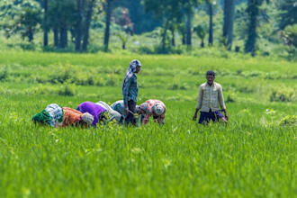 be your travel companion and safety fixer in south india
