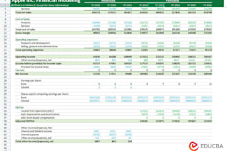 build a professional financial model for startups and businesses