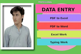 do data entry, PDF to exel, PDF to word, exel working and typing working