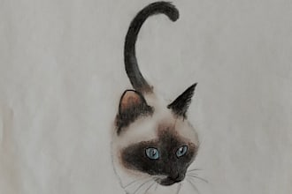 draw your pet animal