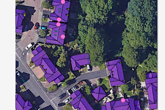do image annotation, data labeling, and clean coco dataset for cvat
