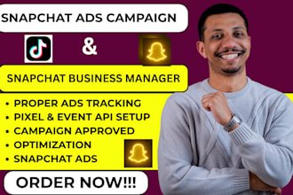 setup and manage high converting snapchat reels  video ads campaign for sales