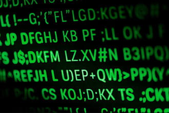 online background investigation, social blackmail, cyber threat, fraud analyst
