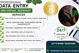 do any fast data entry, accurately for you