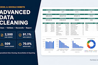 clean validate and organize excel or google sheets data