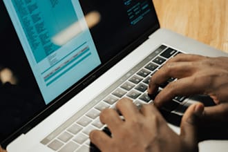 do professional data entry and file conversion within 4 hours