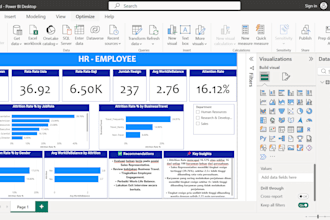 create a professional power bi dashboard for your business data