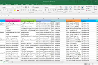 be your bilingual VA for admin, excel, and back office task