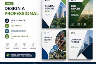 design a professional annual report, esg report, impact report, company profile