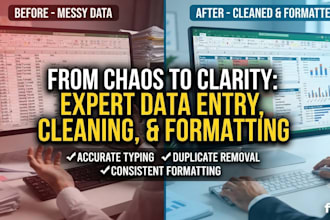 provide professional data cleaning and formatting service