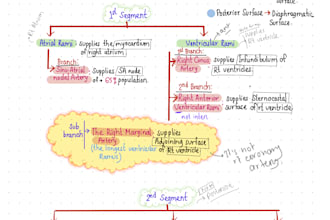 write anything digital note or hardcopy with my beautiful handwriting