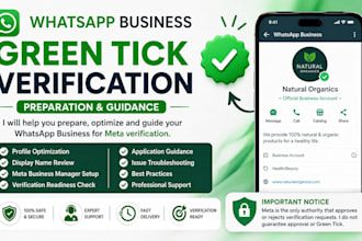 help prepare your whatsapp business for meta green tick verification
