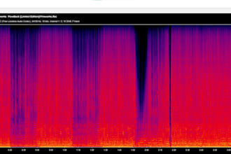 provide flac file sourcing and audio metadata