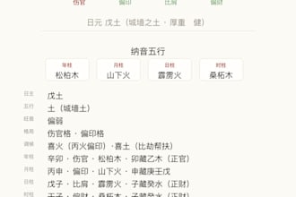 do a professional bazi and zi wei dou shu reading