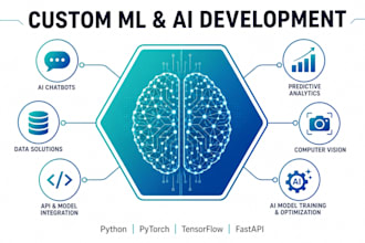 develop custom machine learning models and data cleaning,