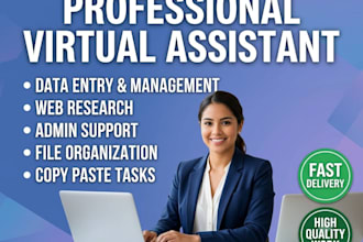 be your virtual assistant, data entry and web research expert