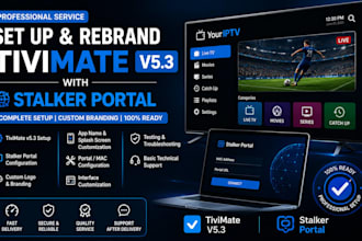 set up and rebrand your tivimate v5 3 with stalker portal