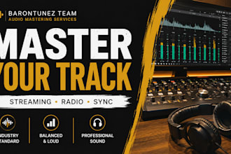 master your track to industry standards for streaming, radio and sync ready