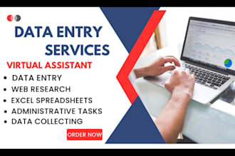 do data entry, copy paste
