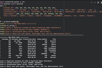 expert data cleaning and visualization in python
